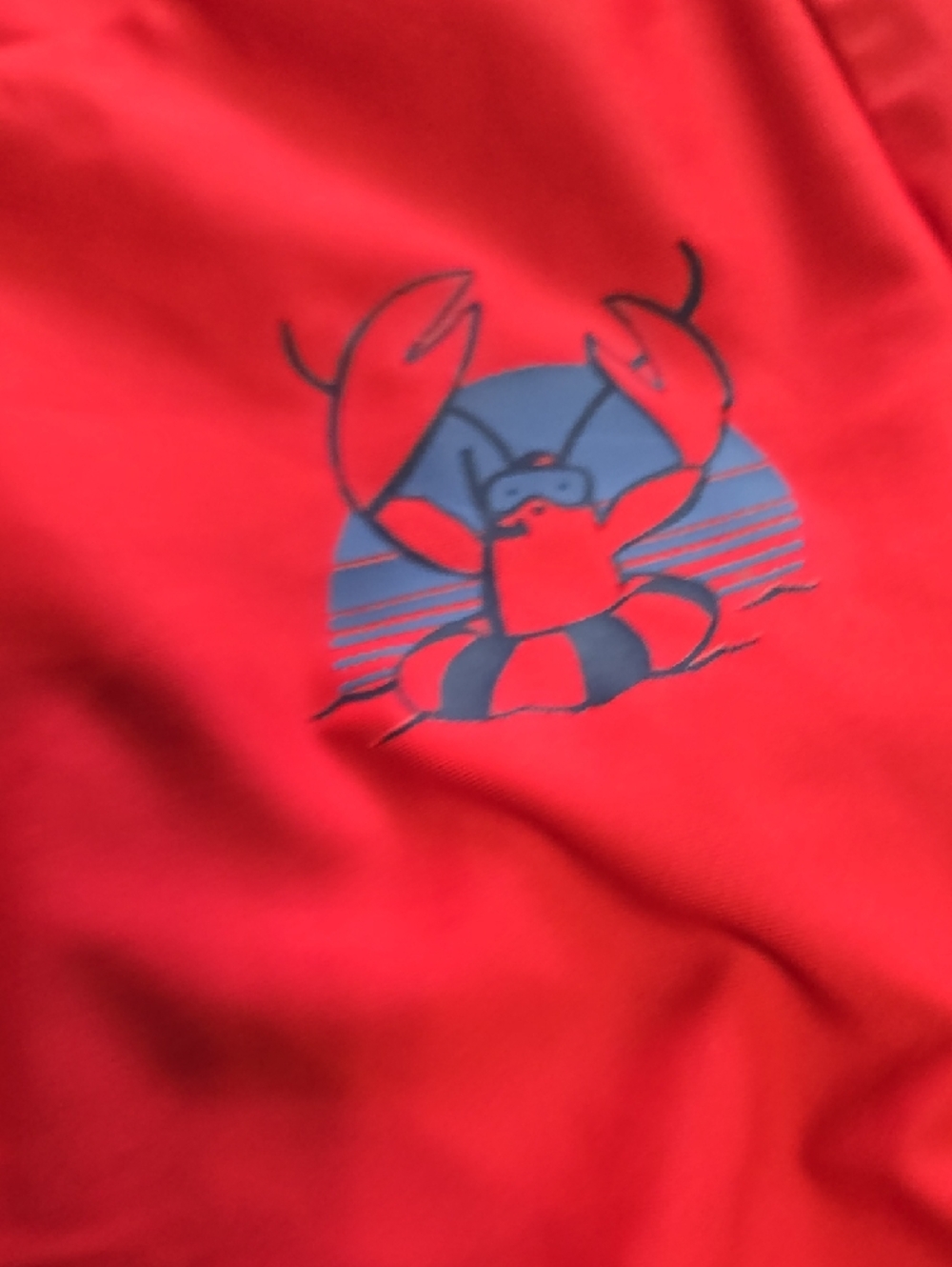 Carter's Swim Trunks With Rashguard - Picture 3 of 5